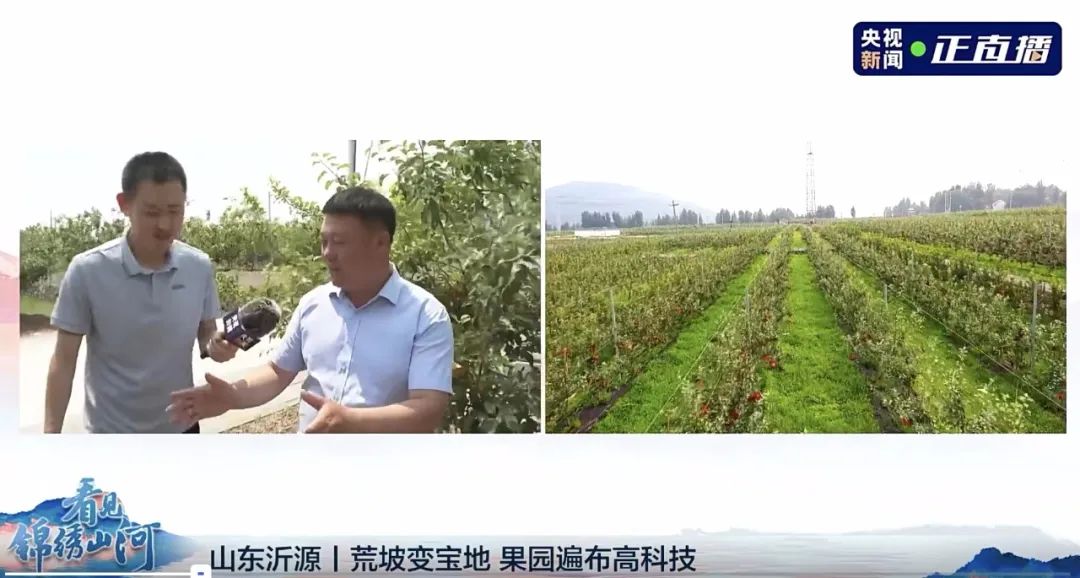 图片 图片